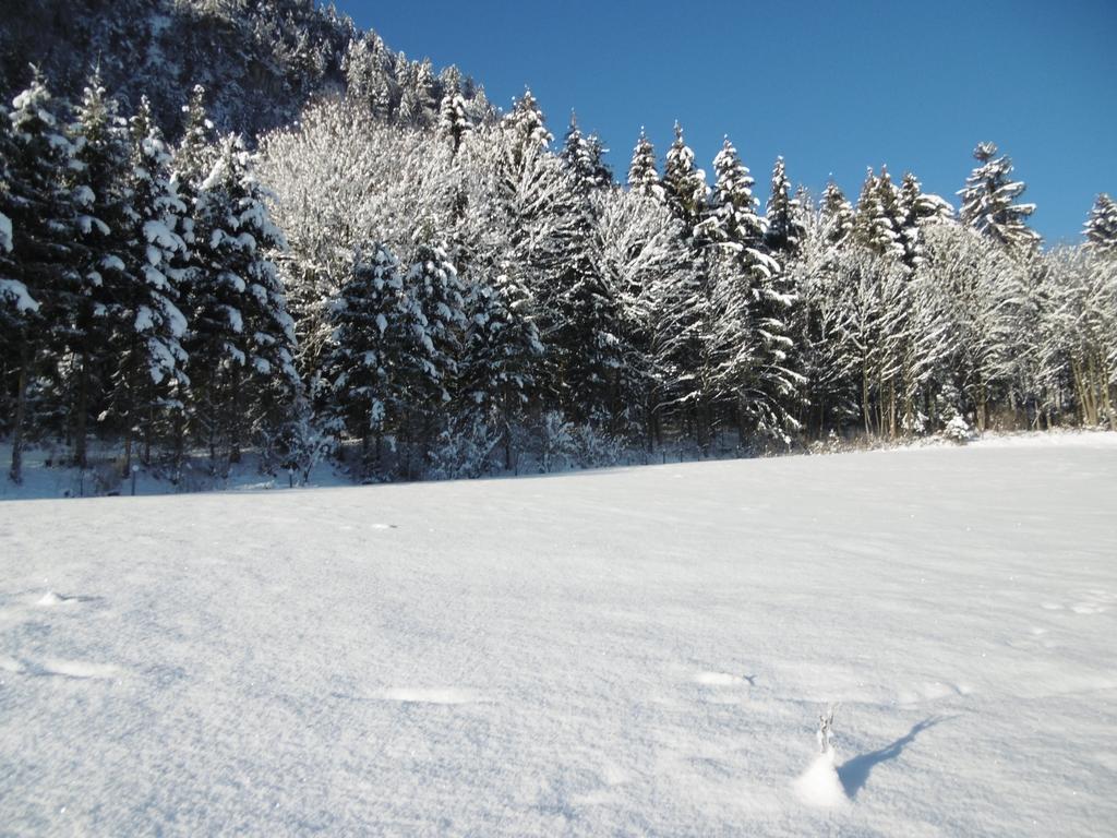 Ferienwohnung Zillertal Bacher Шлиттерс Экстерьер фото